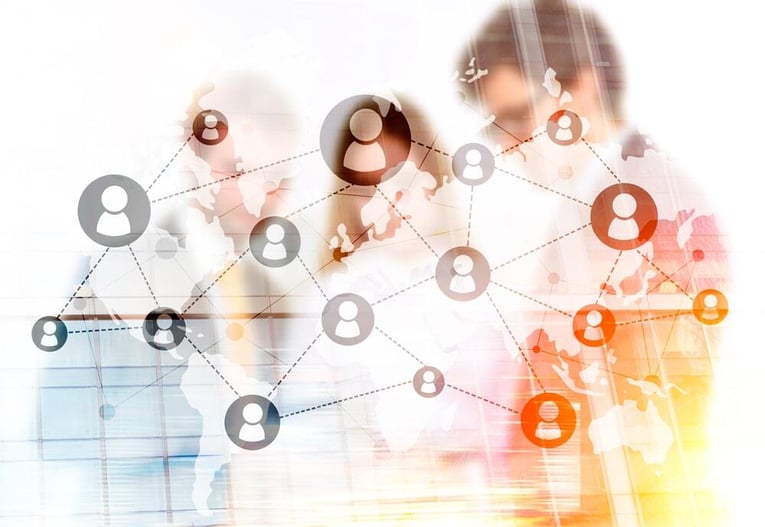 what-is-an-organization